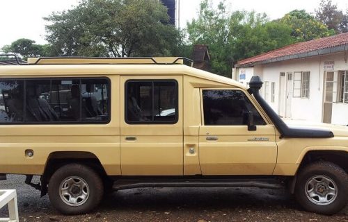 Safari Land Cruiser