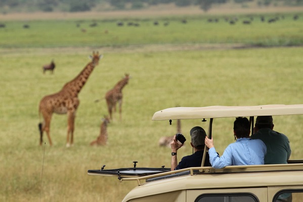 akagera game drive