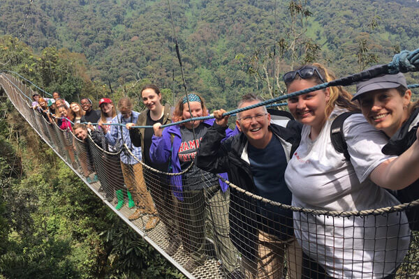 canopy walk