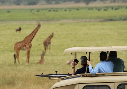 akagera game drive