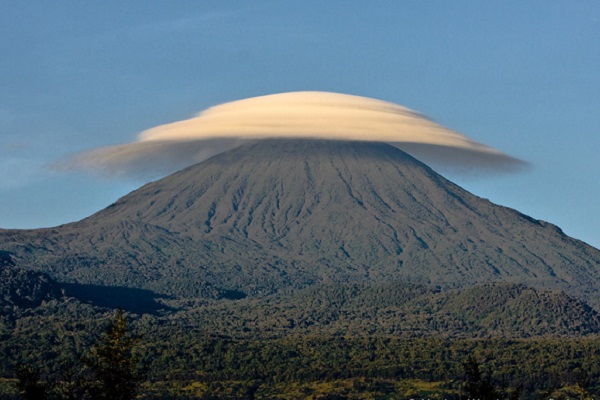 Golden Monkey Behavior Guide: What to Expect in Rwanda Gorilla Trekk Hidden Cost Trekking in Rwanda: Rwanda Tour Operator to trust Karisimbi