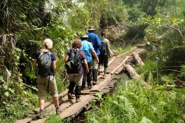 Nyungwe Forest National Park