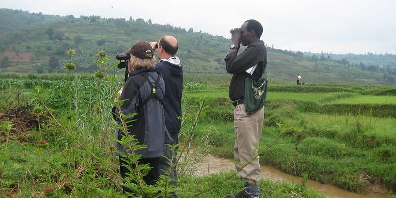 6 Days Bird Watching Rwanda & Primates Safari