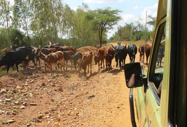 Akagera National Park