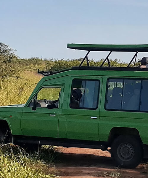 East Africa Gorilla Safaris Rwanda How Tourists Travel Volcanoes