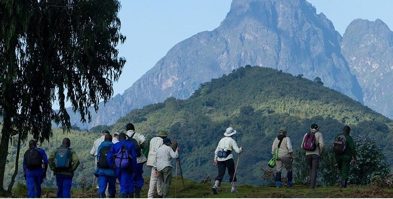 Where to go Volcano Hiking for a Memorable Experience