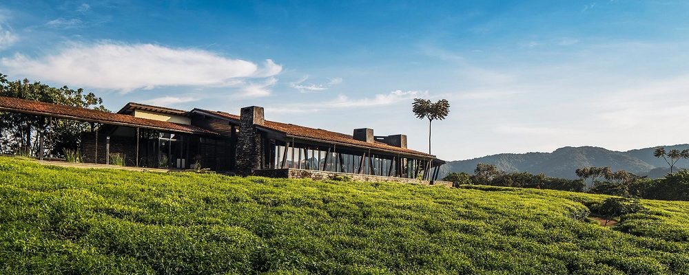 Nyungwe Forest Lodge