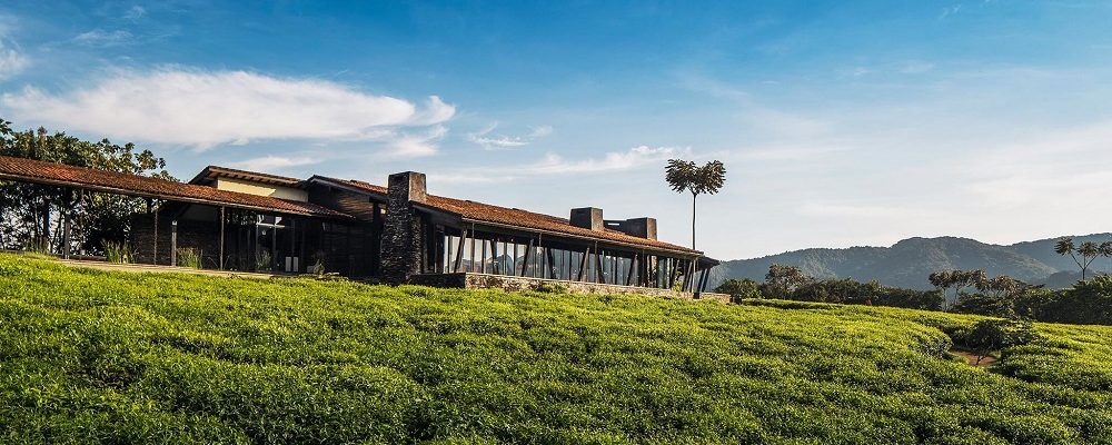 Nyungwe Forest Lodge