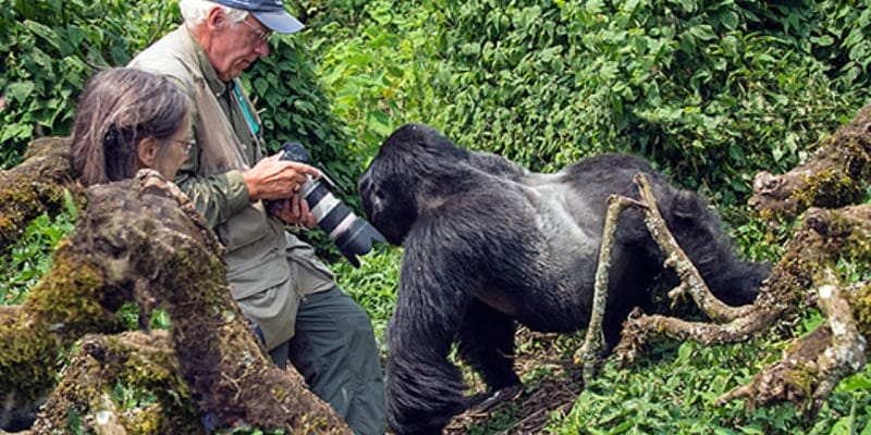 9 Days Rwanda Birding & Gorilla Safari