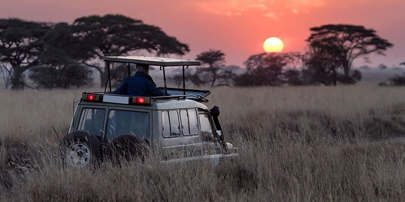 Tips for Rwanda Self Drive Safari Holidays