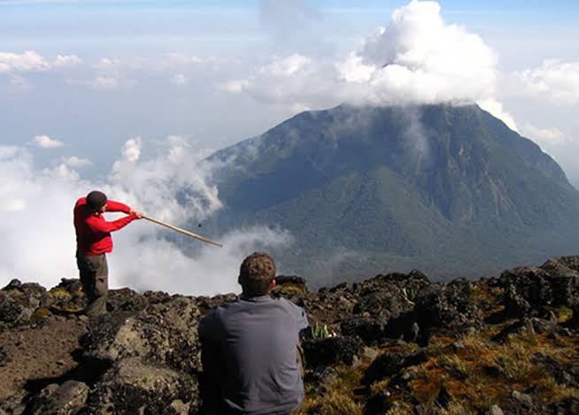 Volcanoes National Park Rwanda
