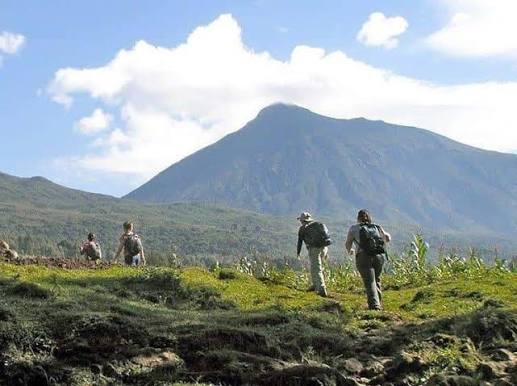 1 Day Gorilla Trekking Rwanda:,2 Day Chimp Trekking Rwanda:,Caplaki Craft Village Tour Rwanda: Before ,1 Day Chimp Trekking Rwanda