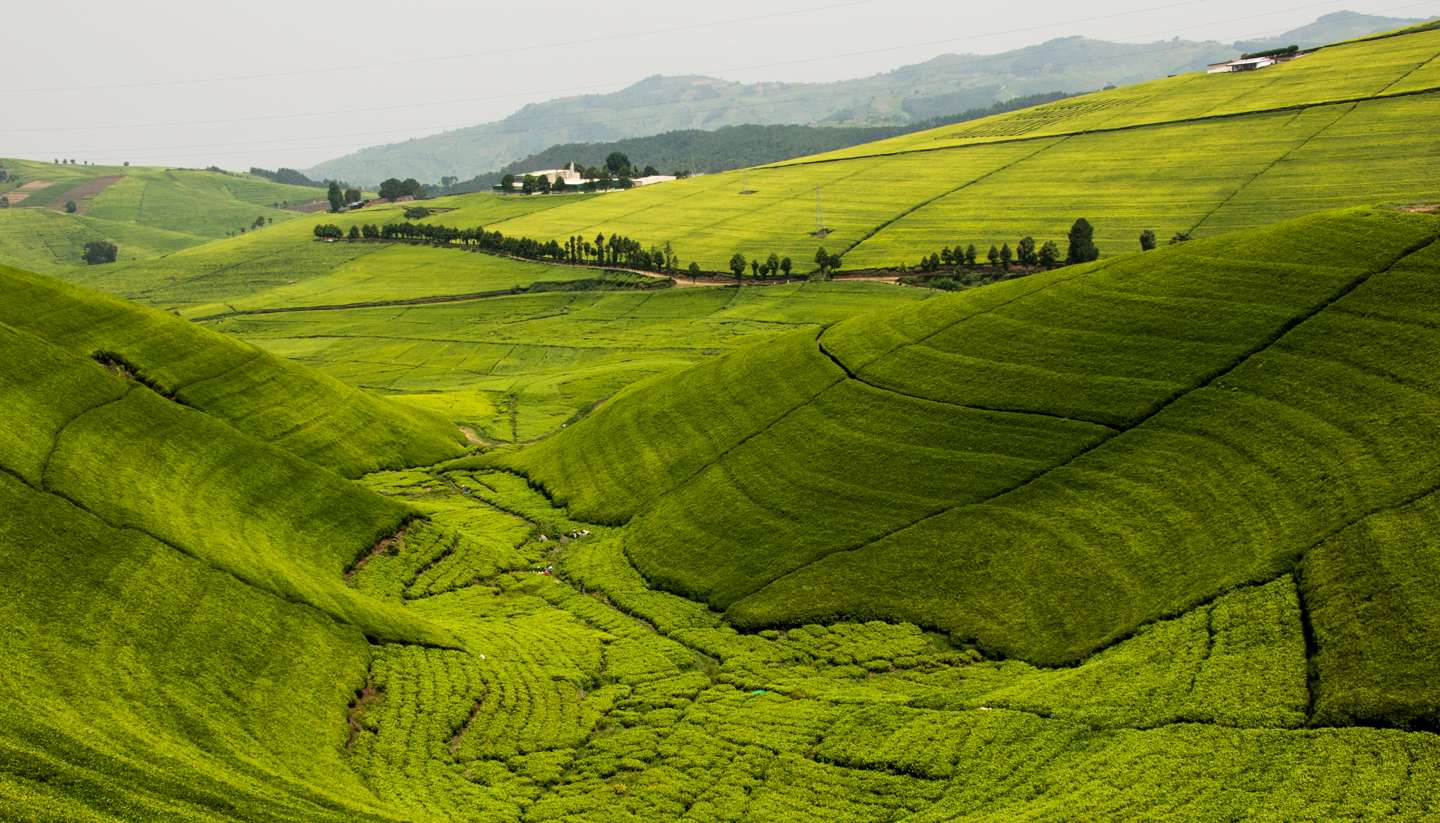 Rwanda Nyanza Royal Palace Tour