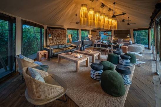 packages Akagera luxury safari