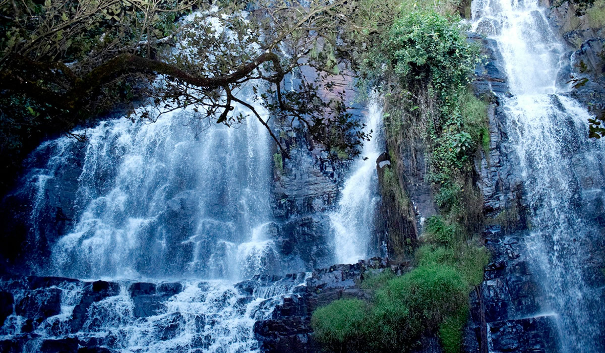 Nyungwe hiking tours,7 Days Burundi Primates and Wildlife Safari
