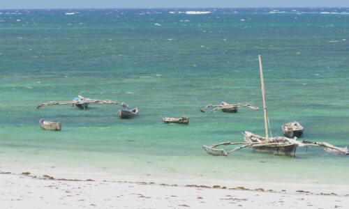 10 Days Kenya Wildlife, Cultural and Beach Safari 10 Days Kenya Wildlife, Cultural and Beach Safari