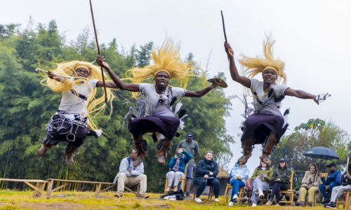 9 Days Wildlife, Primates and Cultural Discovery in Rwanda 9 Days Wildlife, Primates and Cultural Discovery in Rwanda