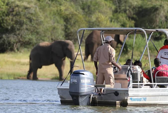 Akagera boat safari: