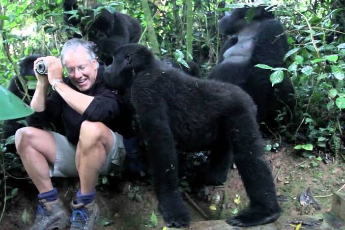 Bwindi habituation experience tour