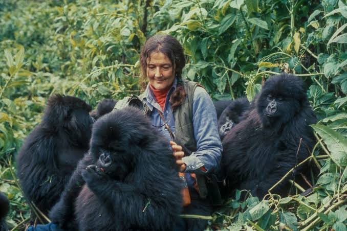 Dian Fossey Grave Hike Rwanda: