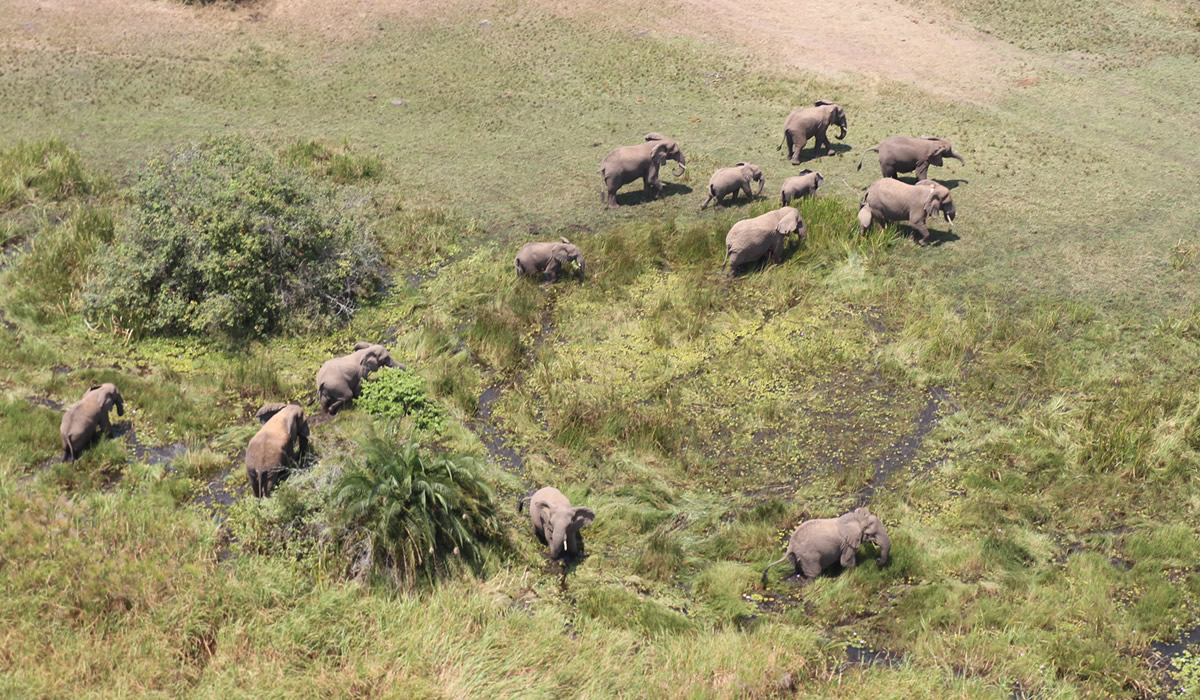 5 Days Rwanda Wildlife and Cultural Experience Tour