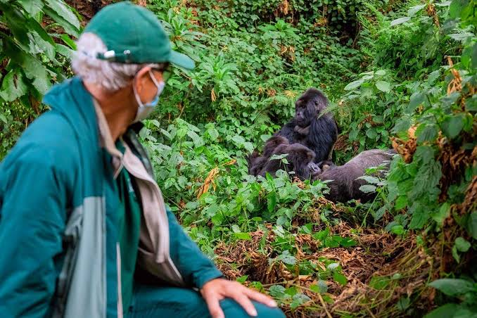 Things to do in Rwanda: