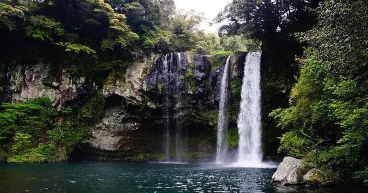 156. Isumo waterfall hike Nyungwe: