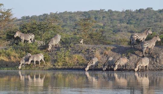 Rwanda 14 day tour