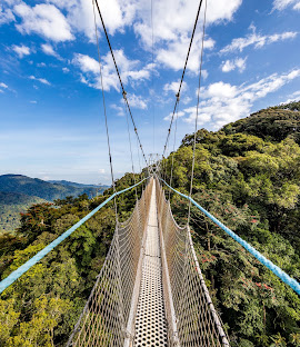 Nyungwe Forest safari
