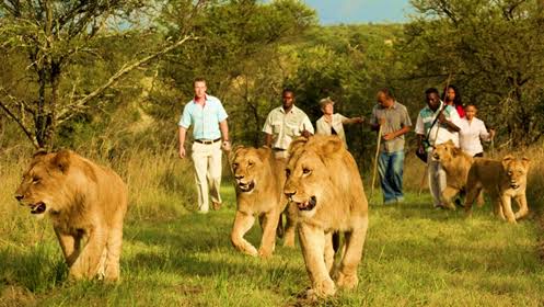 Akagera Big Five safari