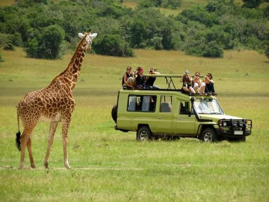 Rwanda private safari: