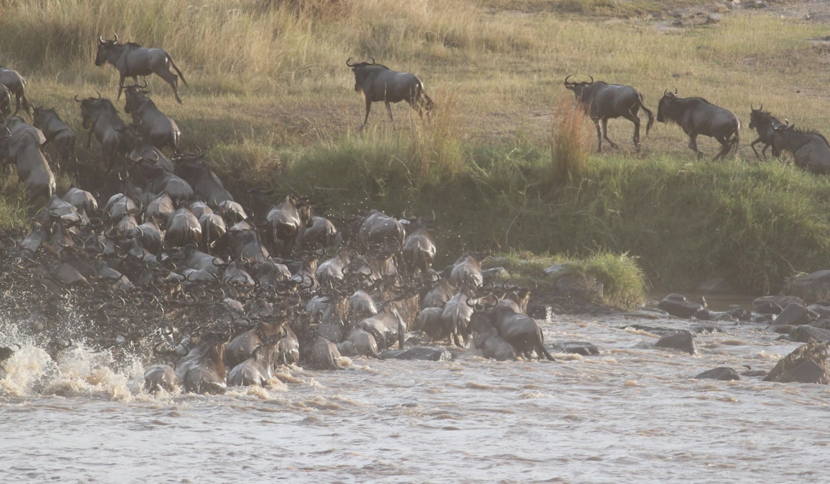 9 Days Tanzania Big Five and Great Migration Safari