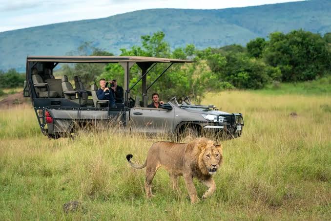 Rwanda wildlife tours